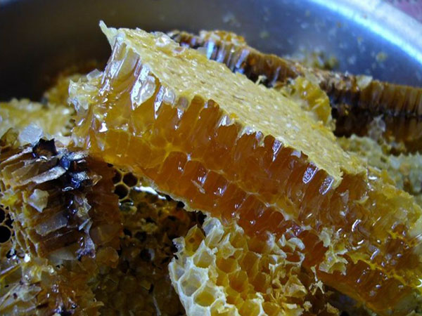 蜂蜜---世界公认的能量食品