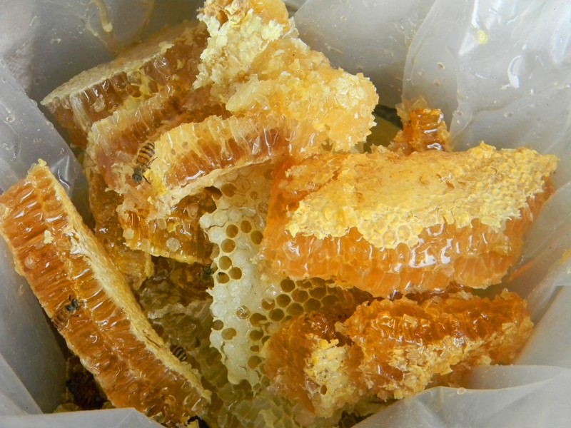 十二个蜂蜜保健小单方