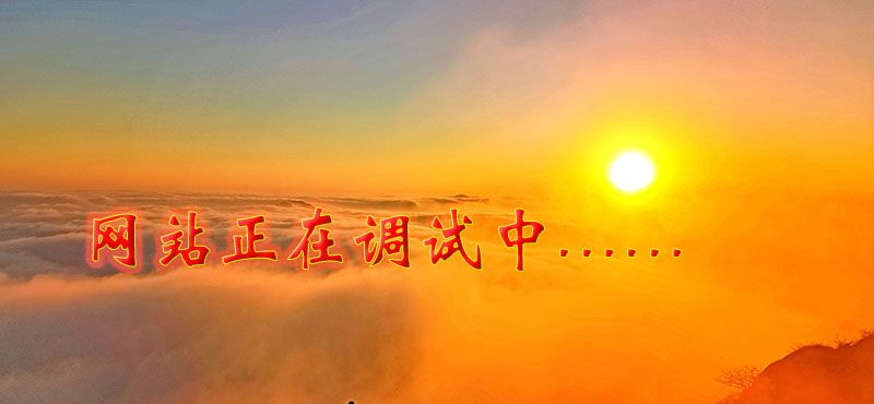 福人居网站正在调试中